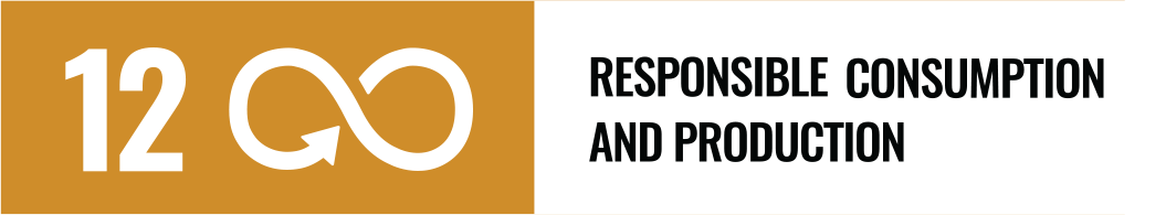 SDG 12 — Responsible Consumption and Production